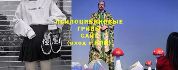 мдпв Нея