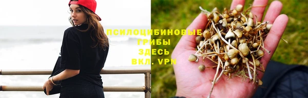 мдпв Нея