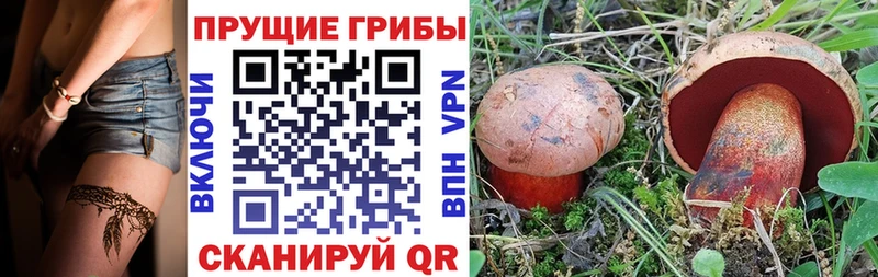 KRAKEN   Назрань  Галлюциногенные грибы мицелий 