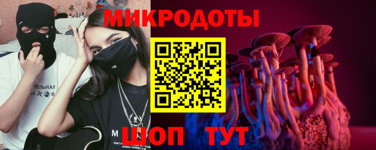 Псилоцибиновые грибы Psilocybe Назрань