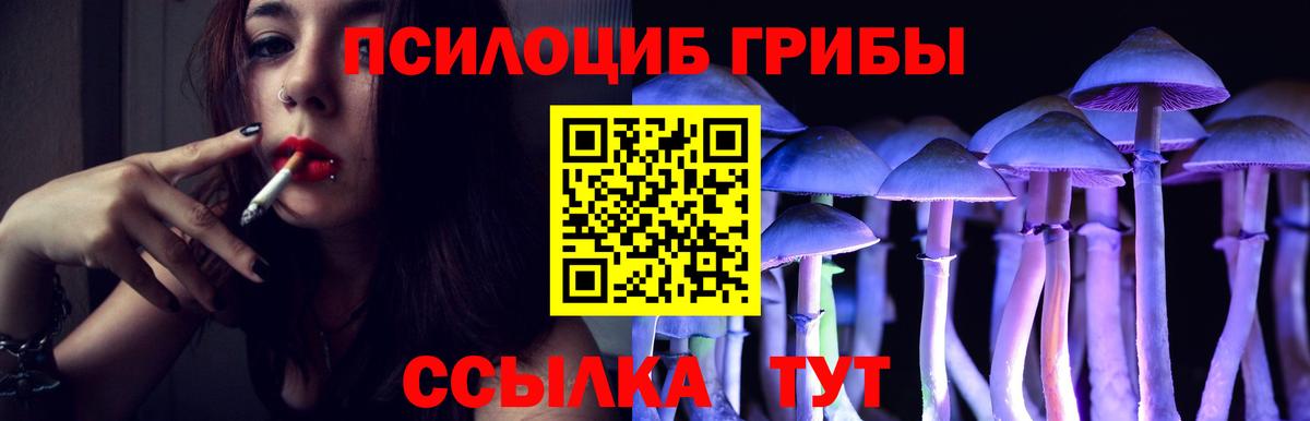 Псилоцибиновые грибы Psilocybe  Вход с VPN  Назрань 